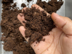 Ne bacajte talog od kave! Od gnojiva do građevinskog materijala, evo kako ga iskoristiti