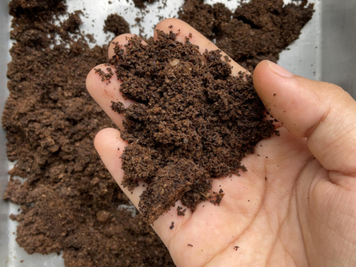 Ne bacajte talog od kave! Od gnojiva do građevinskog materijala, evo kako ga iskoristiti