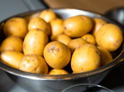 Gdje držati krumpir da ostane svjež tjednima?