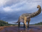 U Australiji nađeni ostaci ogromnog dinosaura, dugačkog kao košarkaško igralište