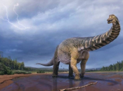 U Australiji nađeni ostaci ogromnog dinosaura, dugačkog kao košarkaško igralište