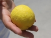 Iscijedite limun u samo 30 sekundi, bez nereda i pomagala!
