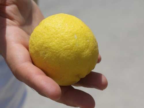 Iscijedite limun u samo 30 sekundi, bez nereda i pomagala!