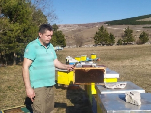 Tomislavgrad: Od opake bolesti stradale pčele u više od 50 košnica