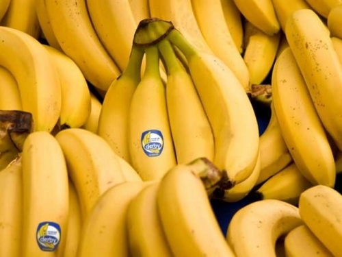 Svijet bi mogao ostati bez banana