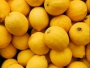 Ne bacajte sjemenke limuna: Kriju pravu riznicu zdravlja