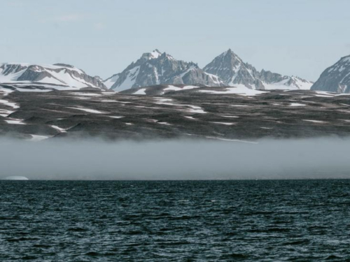 Klimatske promjene: brod Polarstern u najvećoj ekspediciji na Arktiku