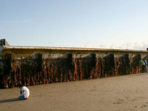 More na plažu u SAD-u izbacilo betonsko pristanište iz Japana