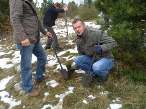 Uspješno realizirana akcija pošumljavanja na području općine Prozor-Rama