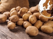 BiH peta u Europi, a prva u regiji po potrošnji krumpira