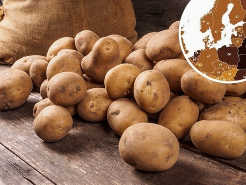 BiH peta u Europi, a prva u regiji po potrošnji krumpira