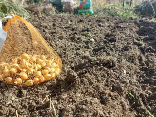 5 ideja što učiniti s viškom lučica luka