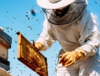 Sukob pčelara u Tomislavgradu