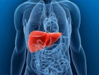 Šest znakova da jetra ne radi onako kako bi trebala