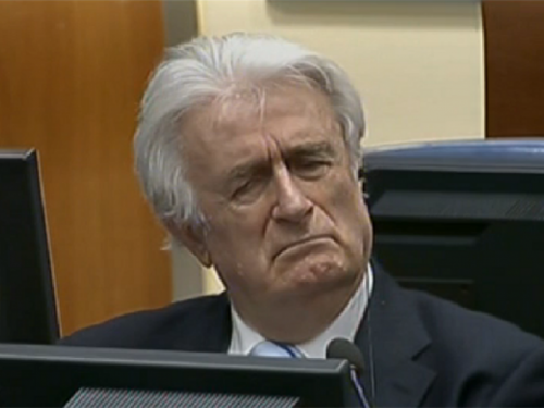 Karadžić podnio žalbu na osuđujuću presudu