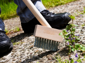 Ni ocat ni četka: Riješite se korova na prilazu kuće