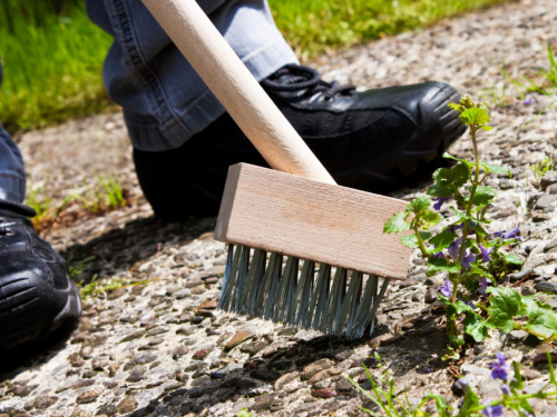 Ni ocat ni četka: Riješite se korova na prilazu kuće