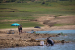 FOTO: Ramsko jezero - mjesto uživanja i rekreacije