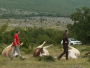 Krave u Zagori spržila struja!
