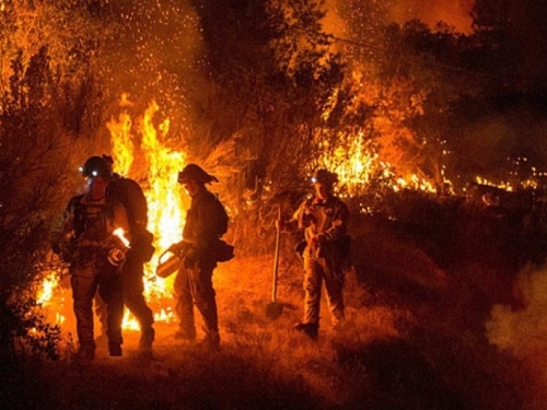 Bjesni šumski požar u Kaliforniji, spalio više od 1600 hektara zemljišt