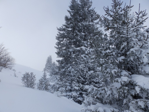 FOTO: Vjetar i snijeg gospodari na Raduši