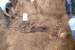 Ekshumacija u Rostovu: Pronađena tijela ključni su materijalni dokaz zločina