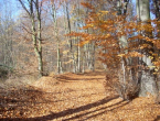 Danas sunčano i prohladno