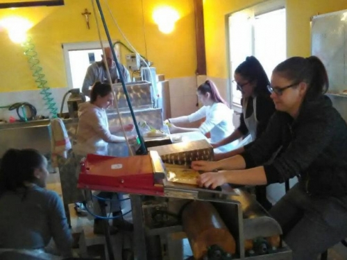 U Tomislavgradu veterani uče mlade generacije pčelarstvu