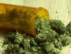 Rak nestao nakon uzimanja ulja od ‘indica’ marihuane