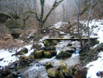 Ilijina priča
