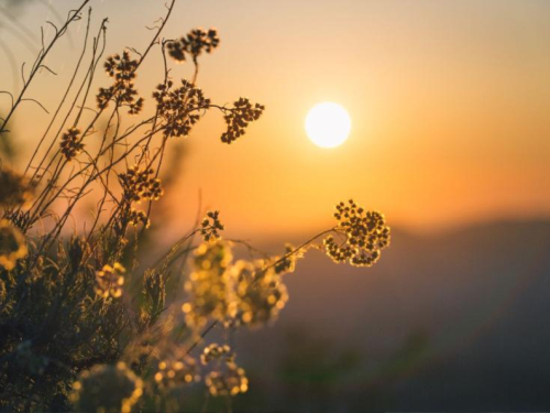 I danas sunčano i toplo