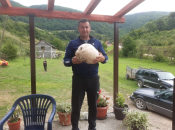 FOTO| David Ramčić iz Uskoplja pronašao gljivu od 4,5 kg