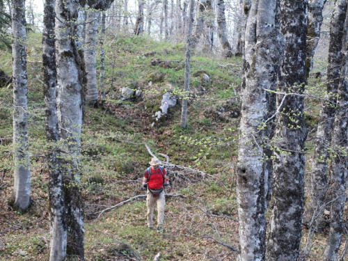 FOTO: Od Maglica do Pasije stine