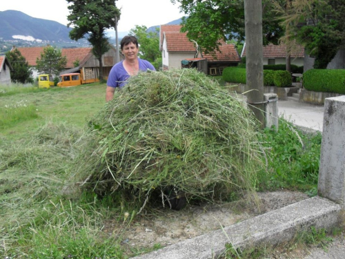 FOTO: Počela je sezona koševine