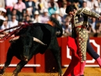 Sud poništio zabranu borbi s bikovima