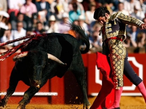 Sud poništio zabranu borbi s bikovima