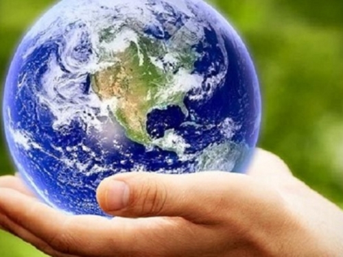 Danas Dan planete Zemlje, moto "Drveće za planetu"