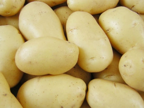 BiH od danas može izvoziti krumpir u EU