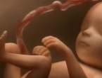 VIDEO: Pogledajte 9 mjeseci trudnoće u samo 4 minute!