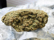 Velika akcija na četiri lokacije u BiH: Uhićeno deset osoba, pronađena droga