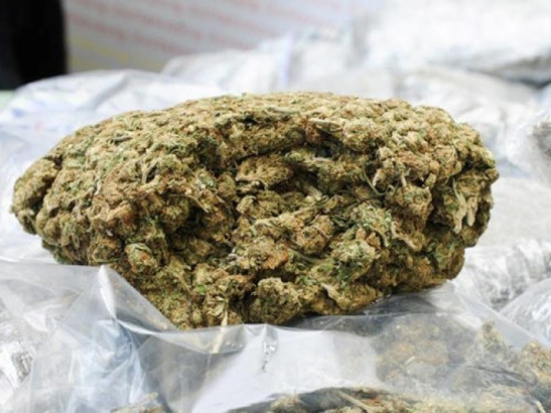 Velika akcija na četiri lokacije u BiH: Uhićeno deset osoba, pronađena droga