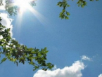 U Hercegovini sunčano i vruće