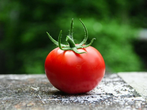 Jeste li znali da rajčica krije neka nevjerojatna tajna svojstva?