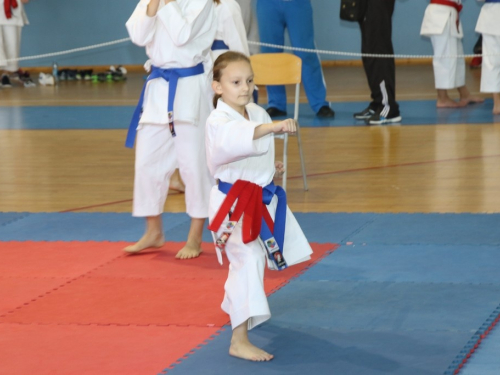 FOTO: Održan sedmi međunarodni karate turnir 'Rama open 2016'