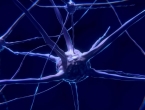 Povratak funkcije neurona nakon ozljede leđne moždine - nada za paralizirane?