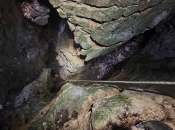 Duvnjak zatražio da mu iz jame izvade rogove vola kojeg je izgubio prije 67 godina