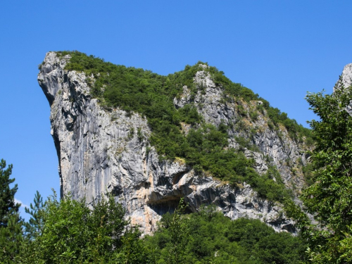 FOTO: U pohode hajdučkoj planini