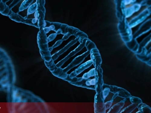Prekretnica u liječenju: Znanstvenici otkrili dijelove DNK koje podstiču razvoj raka