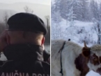 Granični policajci i SIPA spriječili krijumčarenje krava iz Srbije