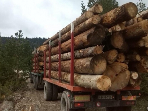 Poslodavci traže produženje zabrane izvoza ogrjevnog drveta i proizvoda od drveta